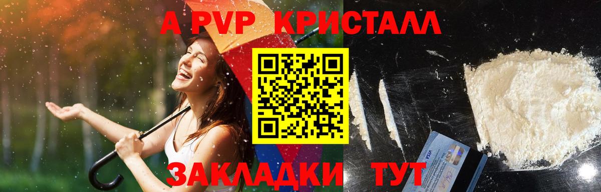 A-PVP СК КРИС Александров