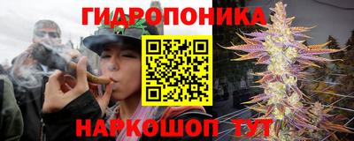 стафф Абинск